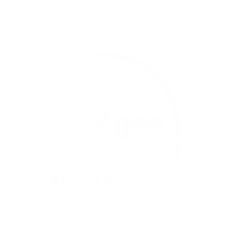 Logo : De Zang- en Theaterschool Nijmegen