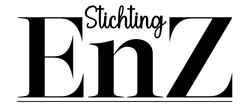 Logo : Stichting EnZ