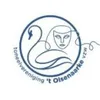 Logo van Mannen met ballen