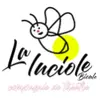 Logo : Mon crime !