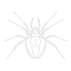 Logo : Cleckheaton & Spenborough AODS