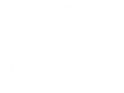 Logo : The Hamburg Players