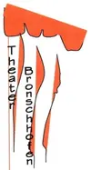 Logotipo de Theater Bronschhofen