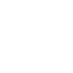 Logo : Compagnie Synapse