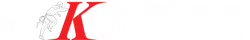 Logo: Die Kulissenschieber