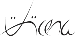 Logo: DS Vicena