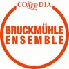 Logo von COMEDIA Bruckmühle Ensemble