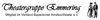 Logo von Theatergruppe Emmering