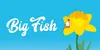 Logo van Big Fish