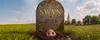 SWYN! logo