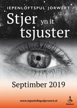 Logo : Stjer yn it tsjuster