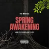 Spring Awakening logo