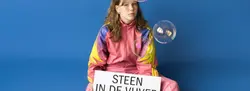 Logo : Steen in de vijver