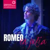 Logo van Romeo en Julia, maar dan een beetje anders