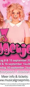 Logo van De 3 Biggetjes
