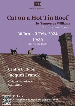 Logo : Cat on a Hot Tin Roof