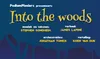 Logo van Into the Woods