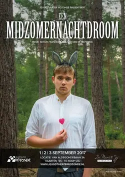 Logo : Midzomernachtdroom