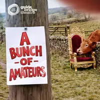 Logo : A Bunch of Amateurs