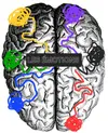 Les Emotions ! logo