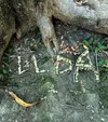 Logo : Ilda