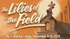 Logo : The Lilies of the Field