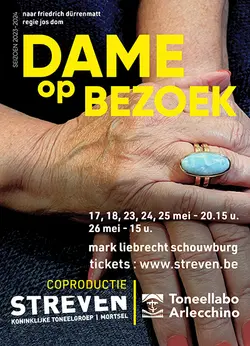 Logo : Dame op bezoek