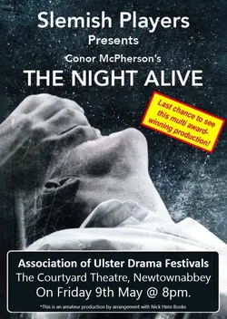 The Night Alive logo