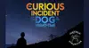 Logo : The Curious Incident of the Dog in the Night-Time