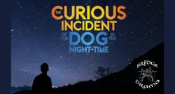 The Curious Incident of the Dog in the Night-Time logo