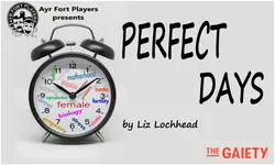 Logo von Perfect Days