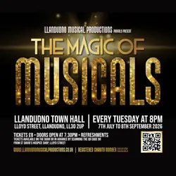 The Magic of Musicals logo