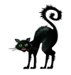 Dreimal schwarzer Kater logo