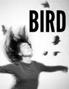 Bird logo