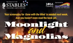 Moonlight and Magnolias logo