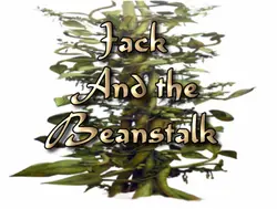 Jack and the Beanstalk logo