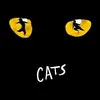 Cats logo