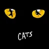 Cats logo