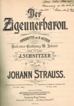 Logo van Der Zigeunerbaron