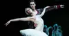 Logo von Swan Lake