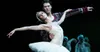 My first Swan Lake logo