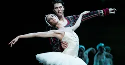 My first Swan Lake logo